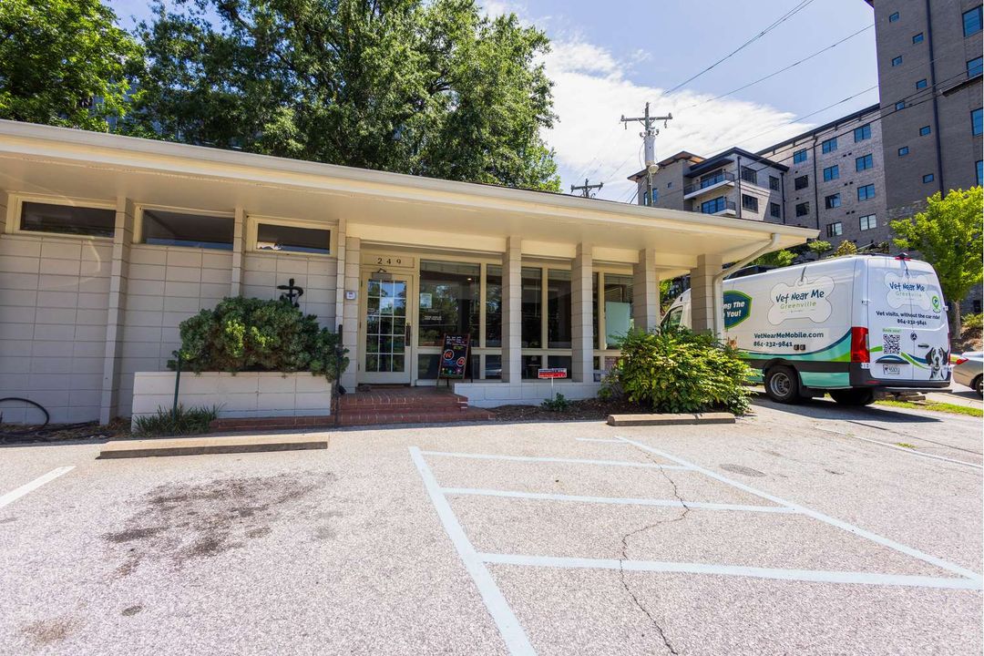 Vet Near Me Greenville on East Broad Street
